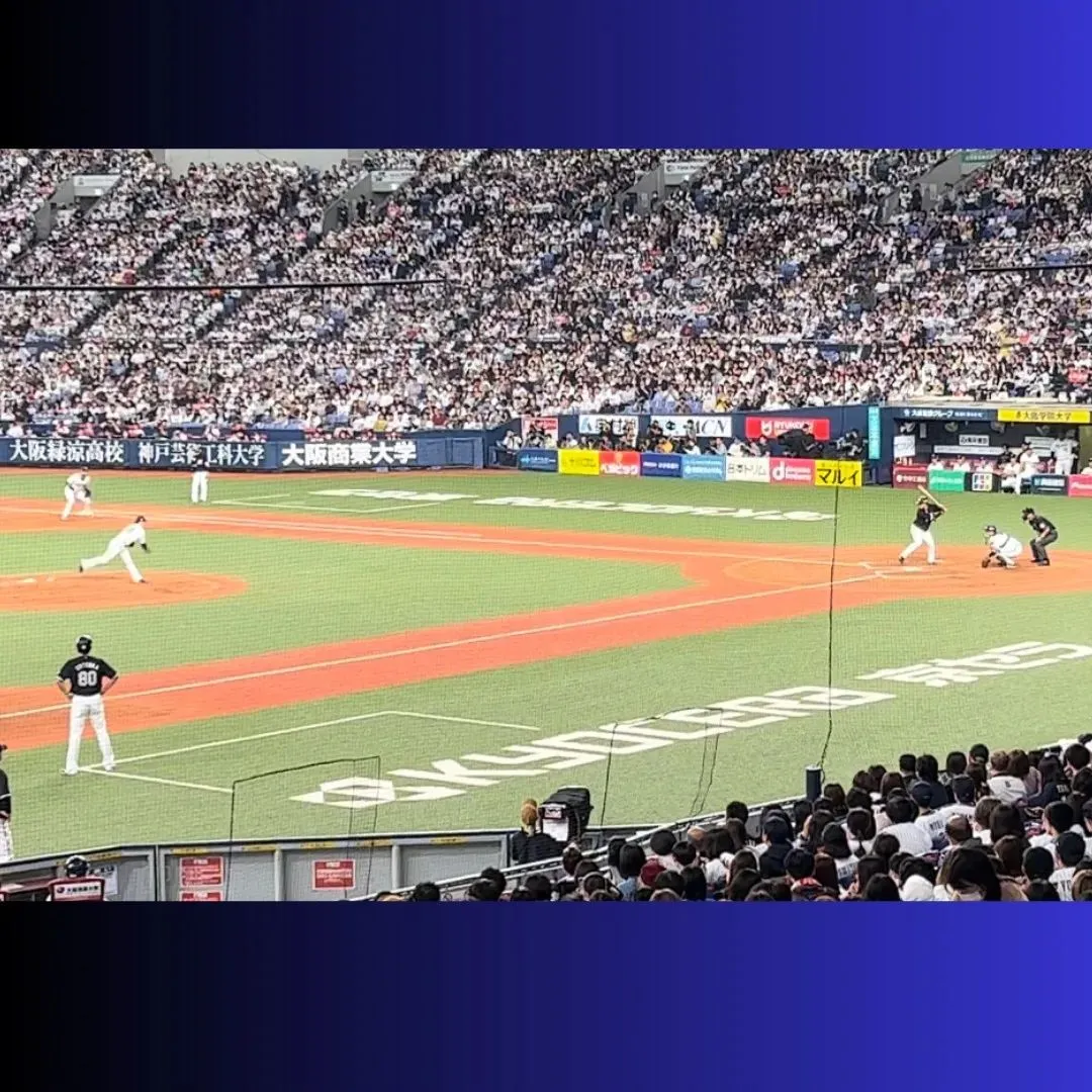 🏟️オリックスバファローズ🏟️