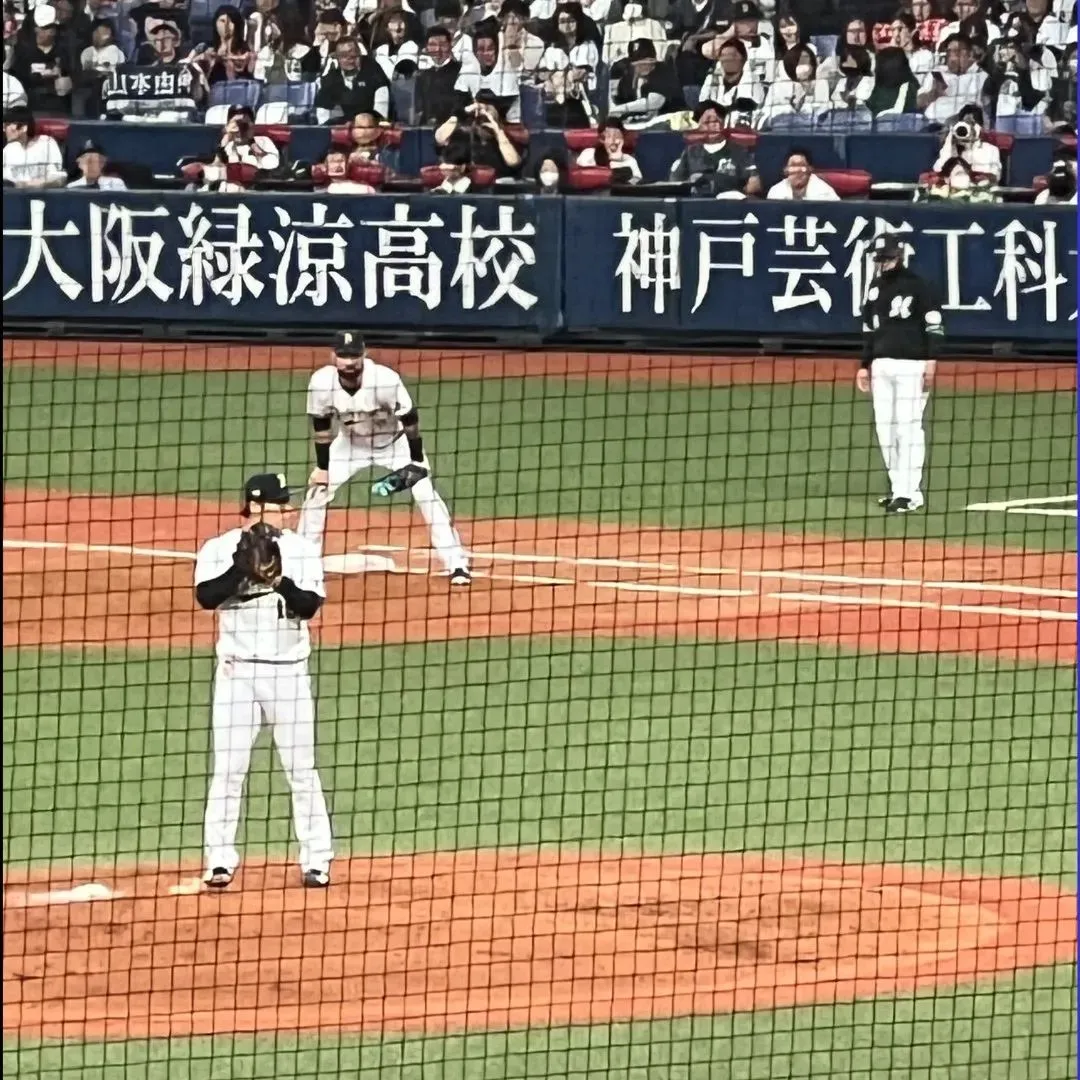 🏟️オリックスバファローズ🏟️