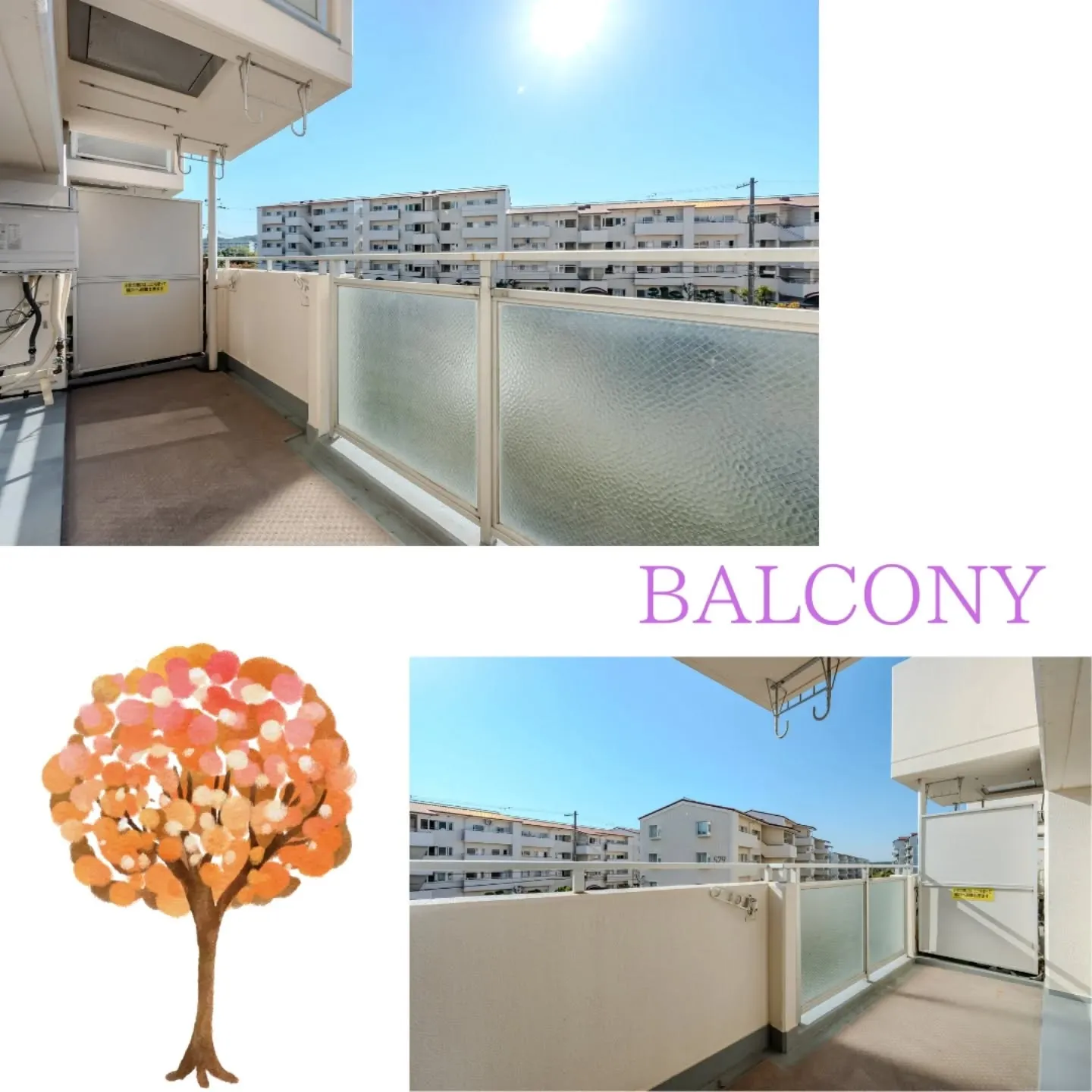 NextHomeからの物件紹介です😊